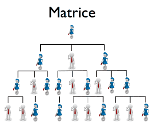 Plan de rémunération matrice forcée Plan de rémunération matrice forcée